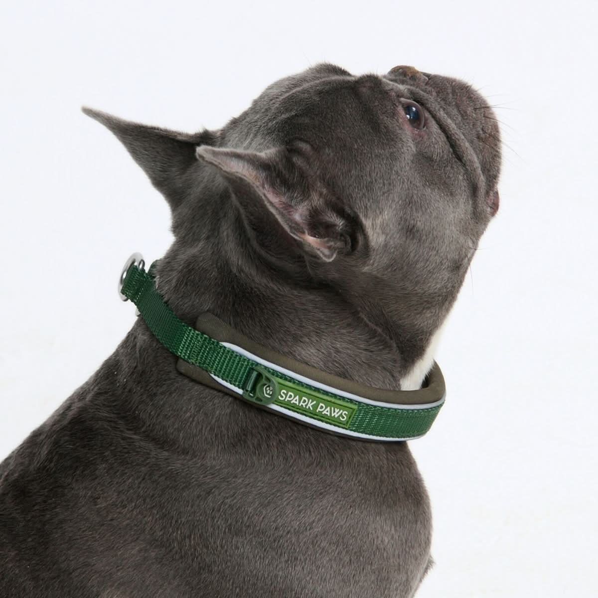 Cushioned Martingale Collar - Army Green - Image 4