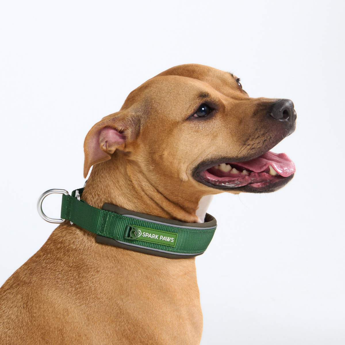 Cushioned Martingale Collar - Army Green - Image 9
