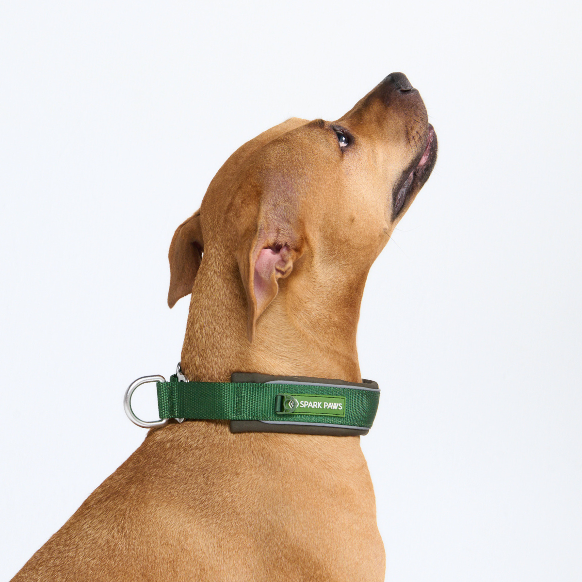 Cushioned Martingale Collar - Army Green - Image 10