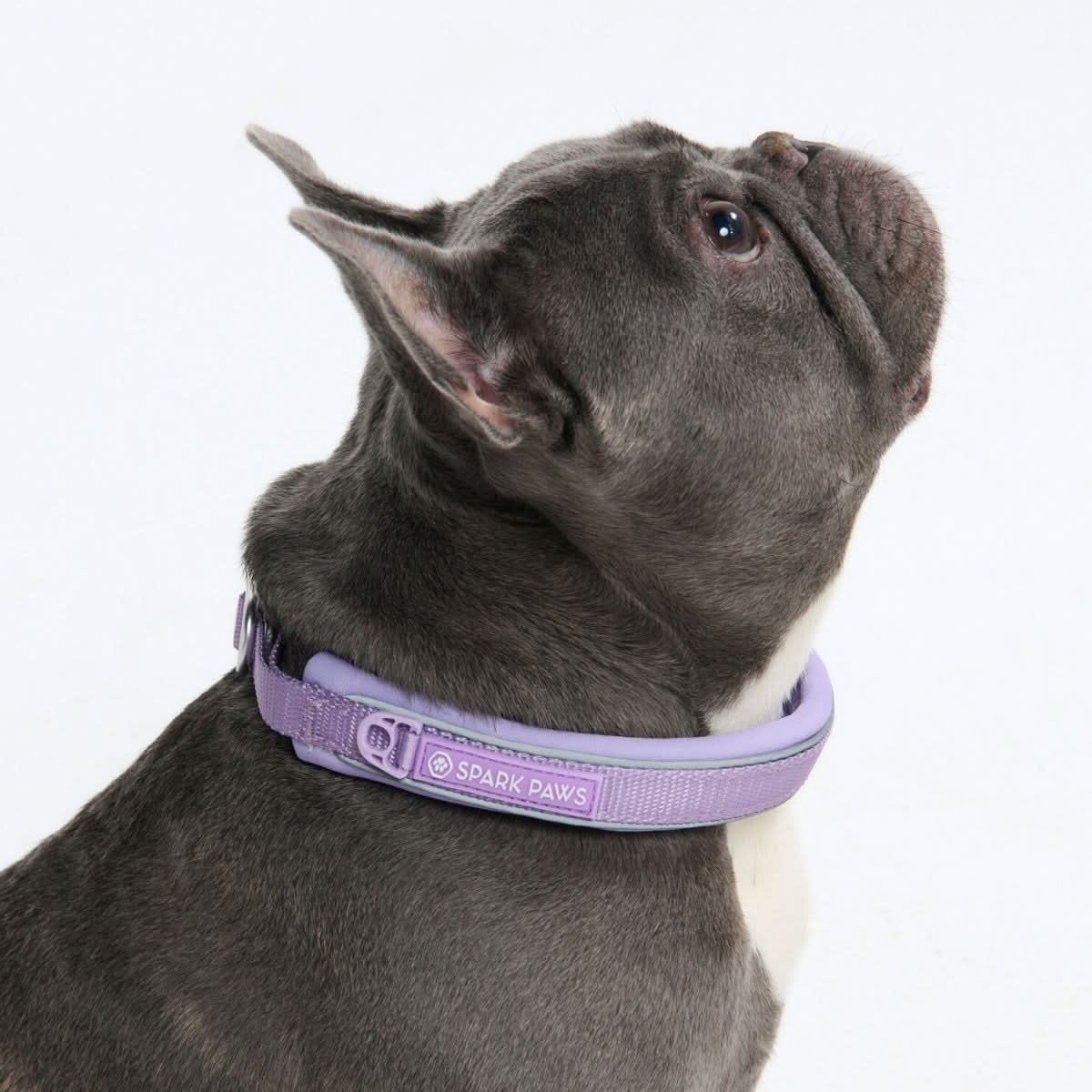 Cushioned Martingale Collar - Lilac - Image 3