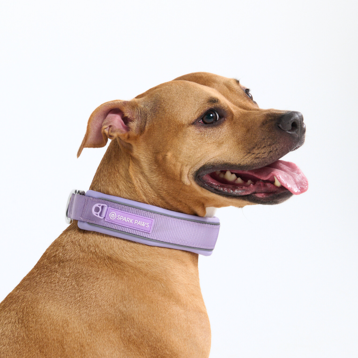 Cushioned Martingale Collar - Lilac - Image 8