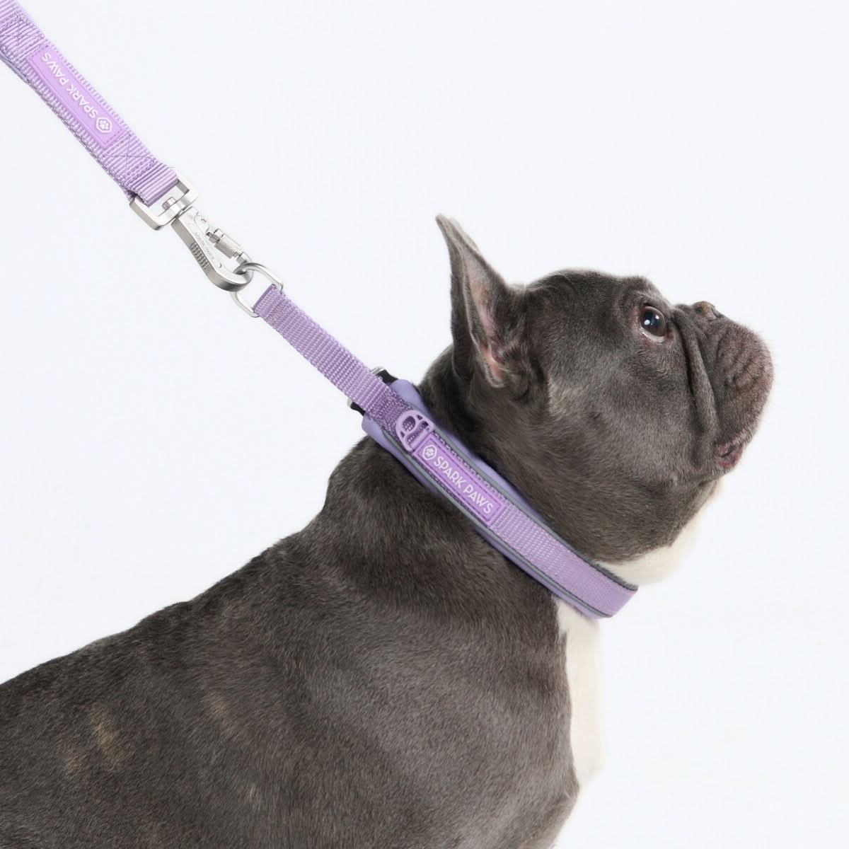 Cushioned Martingale Collar - Lilac - Image 4