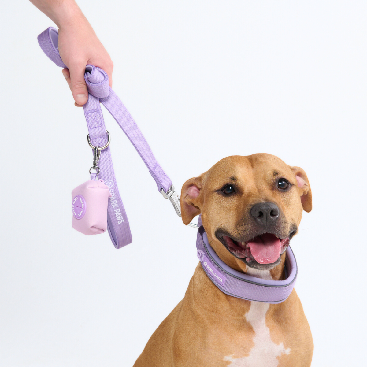 Cushioned Martingale Collar - Lilac - Image 9