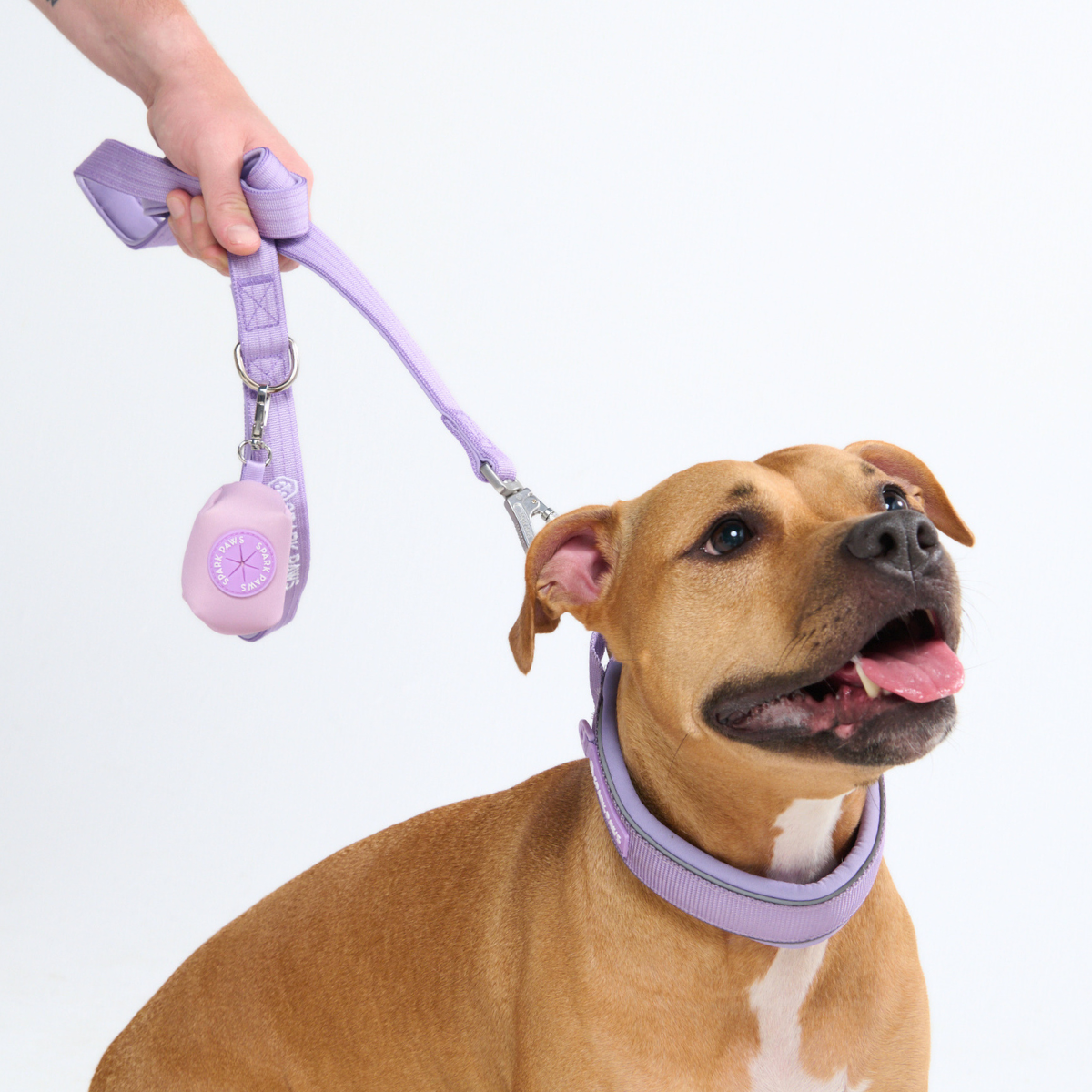 Cushioned Martingale Collar - Lilac - Image 10