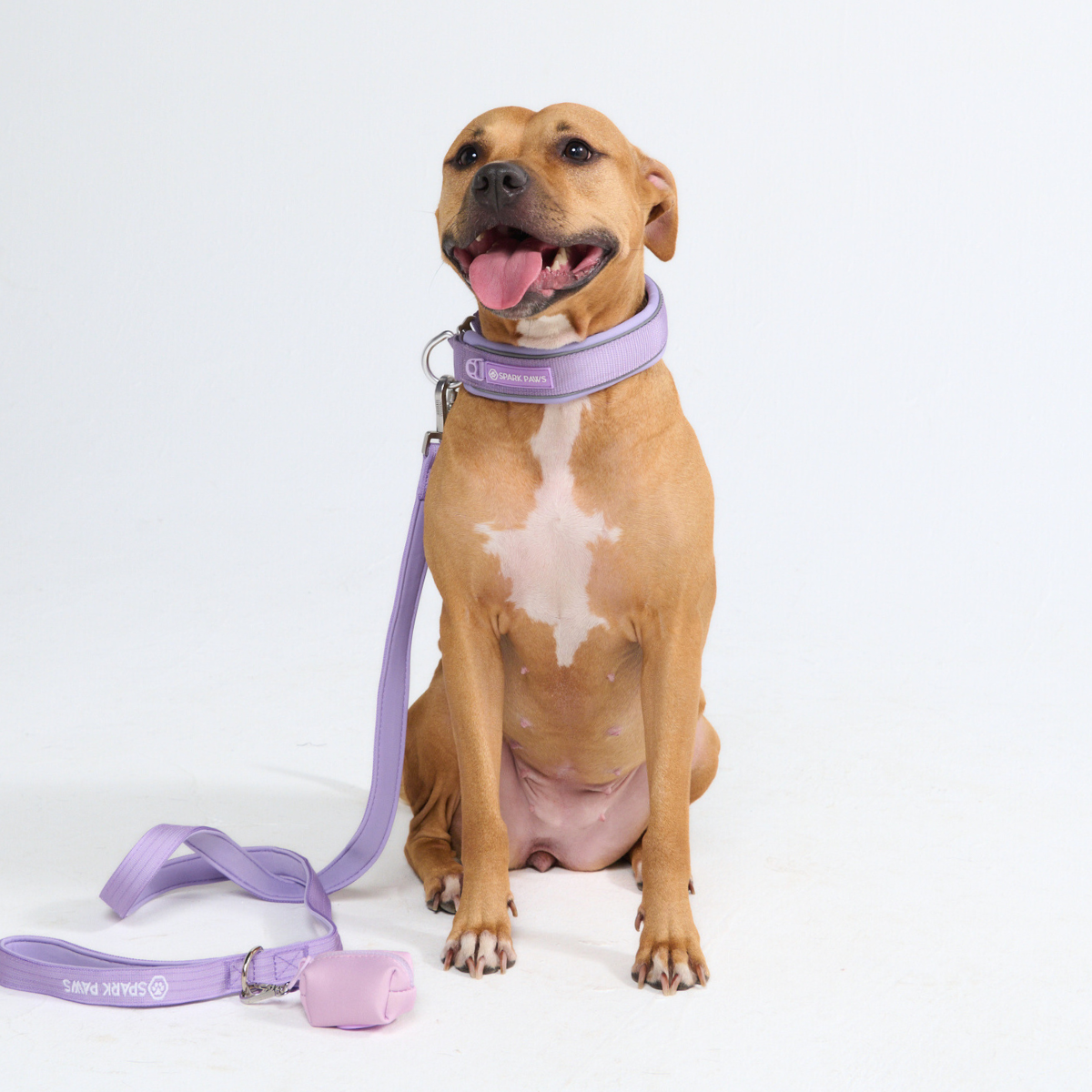 Cushioned Martingale Collar - Lilac - Image 11