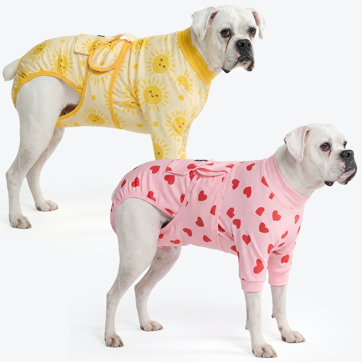 Dog Surgical Suit 2-pack - Image 4