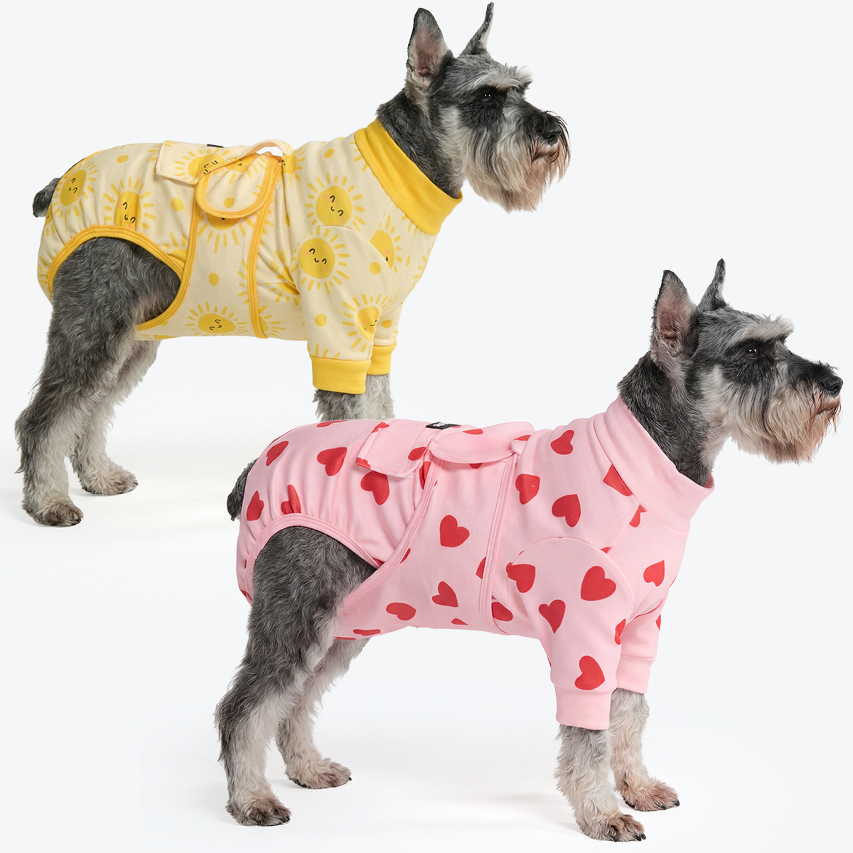 Dog Surgical Suit 2-pack - Image 3