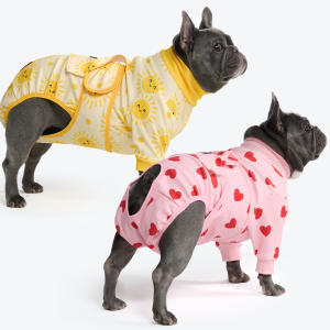 Dog Surgical Suit 2-pack
