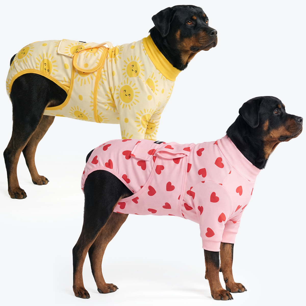 Dog Surgical Suit 2-pack - Image 6