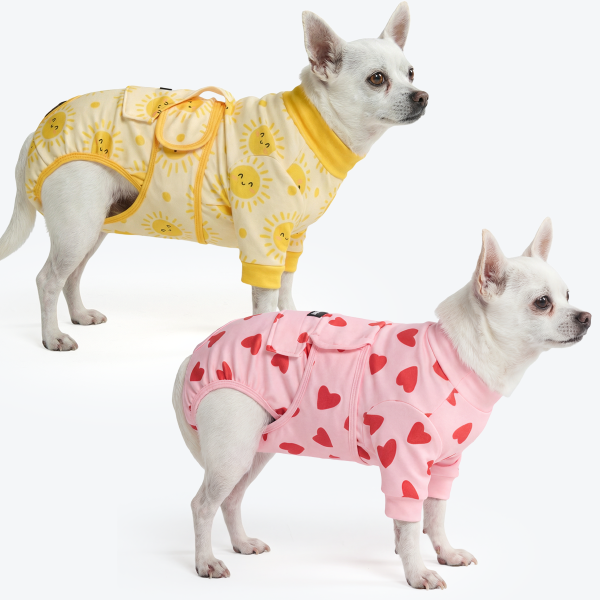 Dog Surgical Suit 2-pack - Image 2