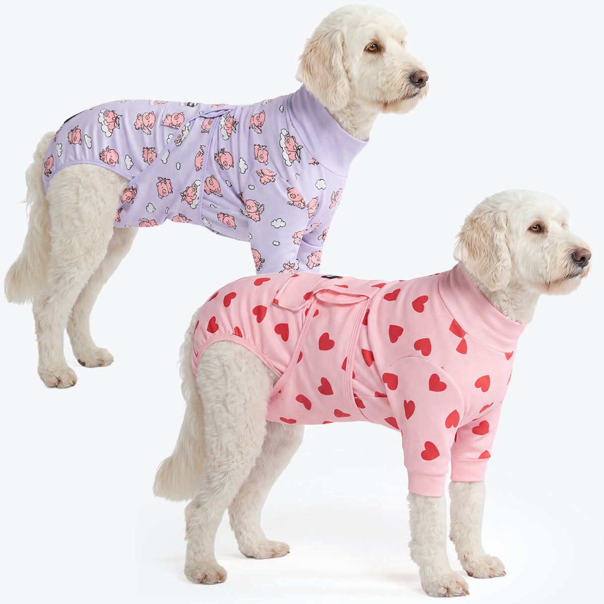 Dog Surgical Suit 2-pack - Image 16