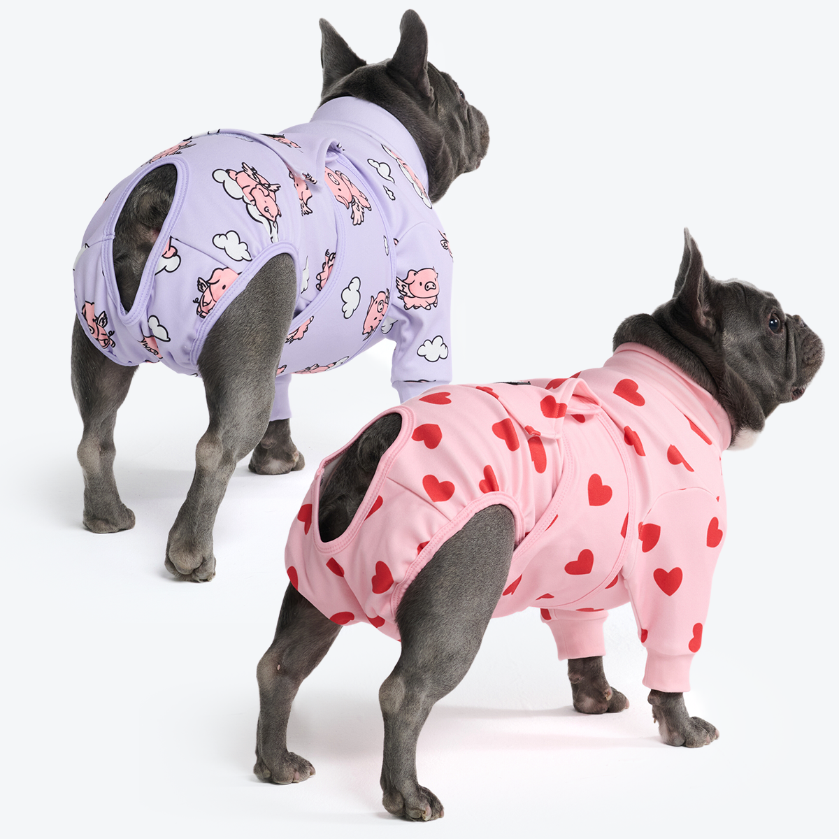 Dog Surgical Suit 2-pack - Image 14