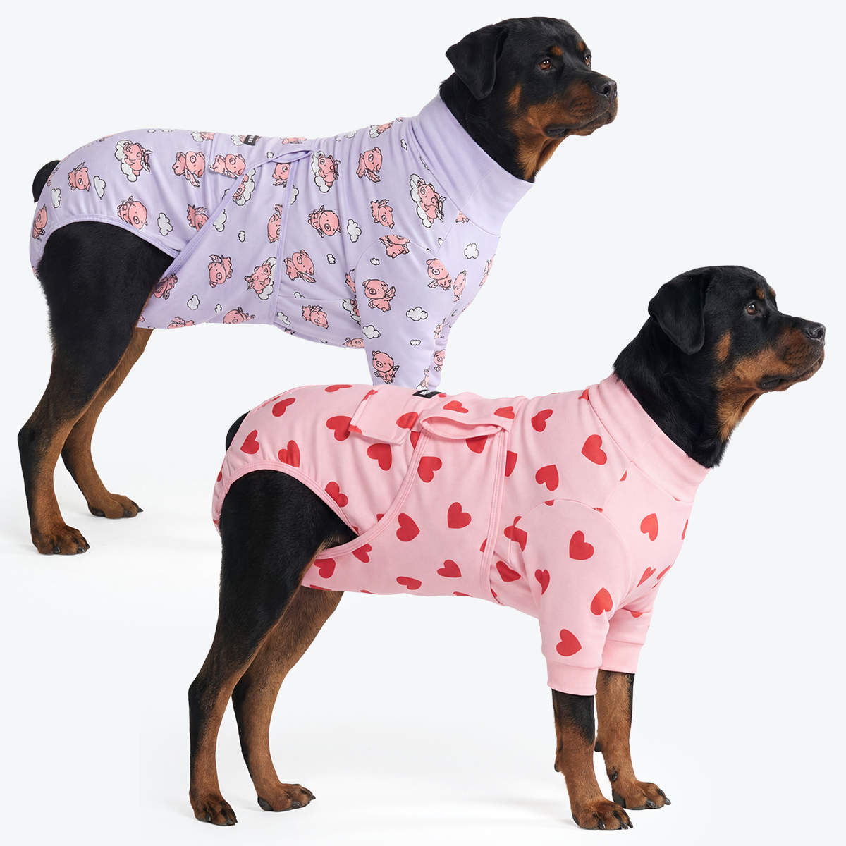 Dog Surgical Suit 2-pack - Image 18