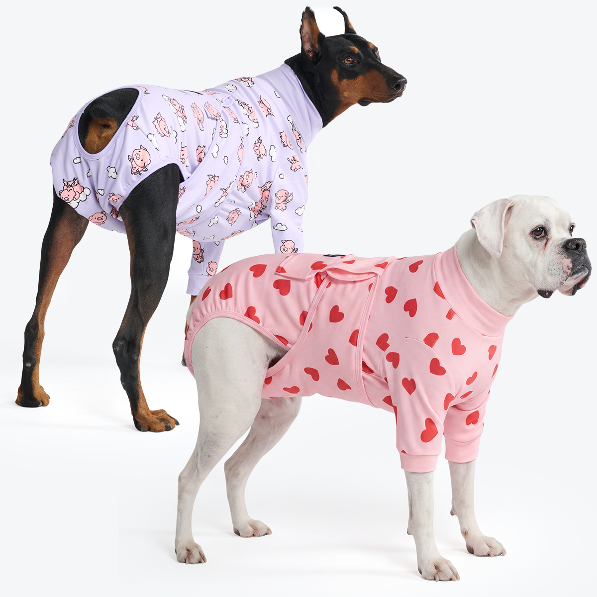Dog Surgical Suit 2-pack - Image 17