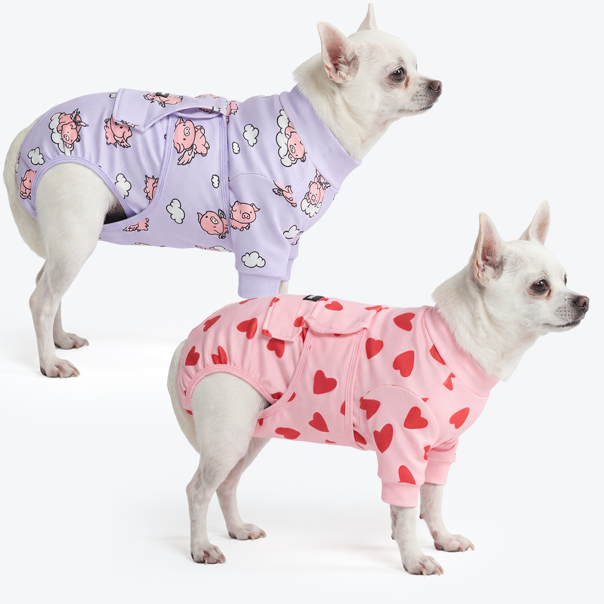 Dog Surgical Suit 2-pack - Image 13