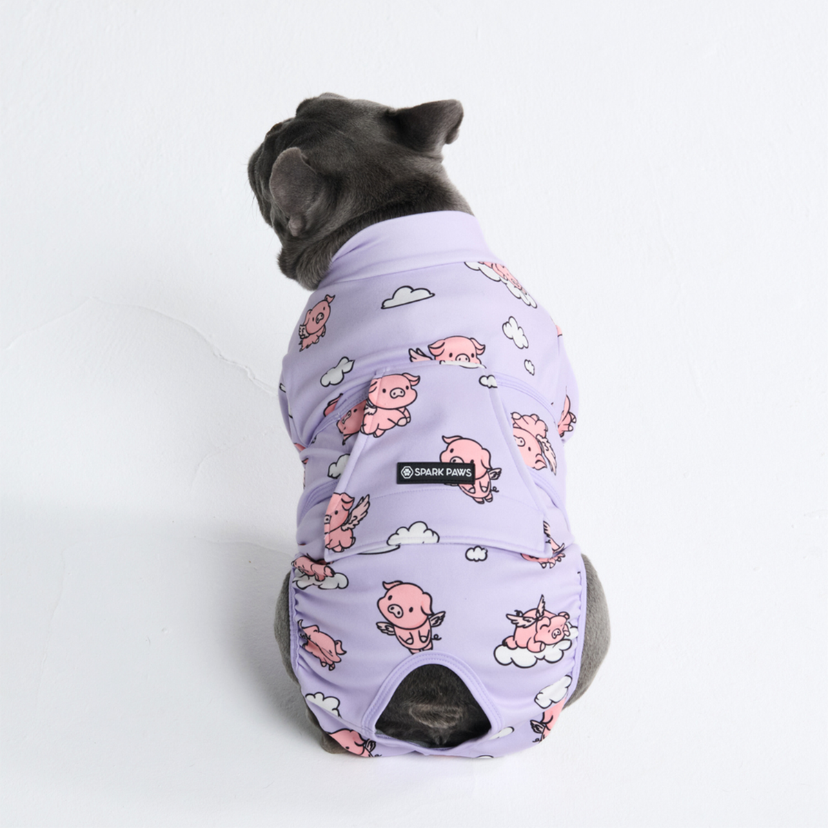 Dog Surgical Suit 2-pack - Image 24