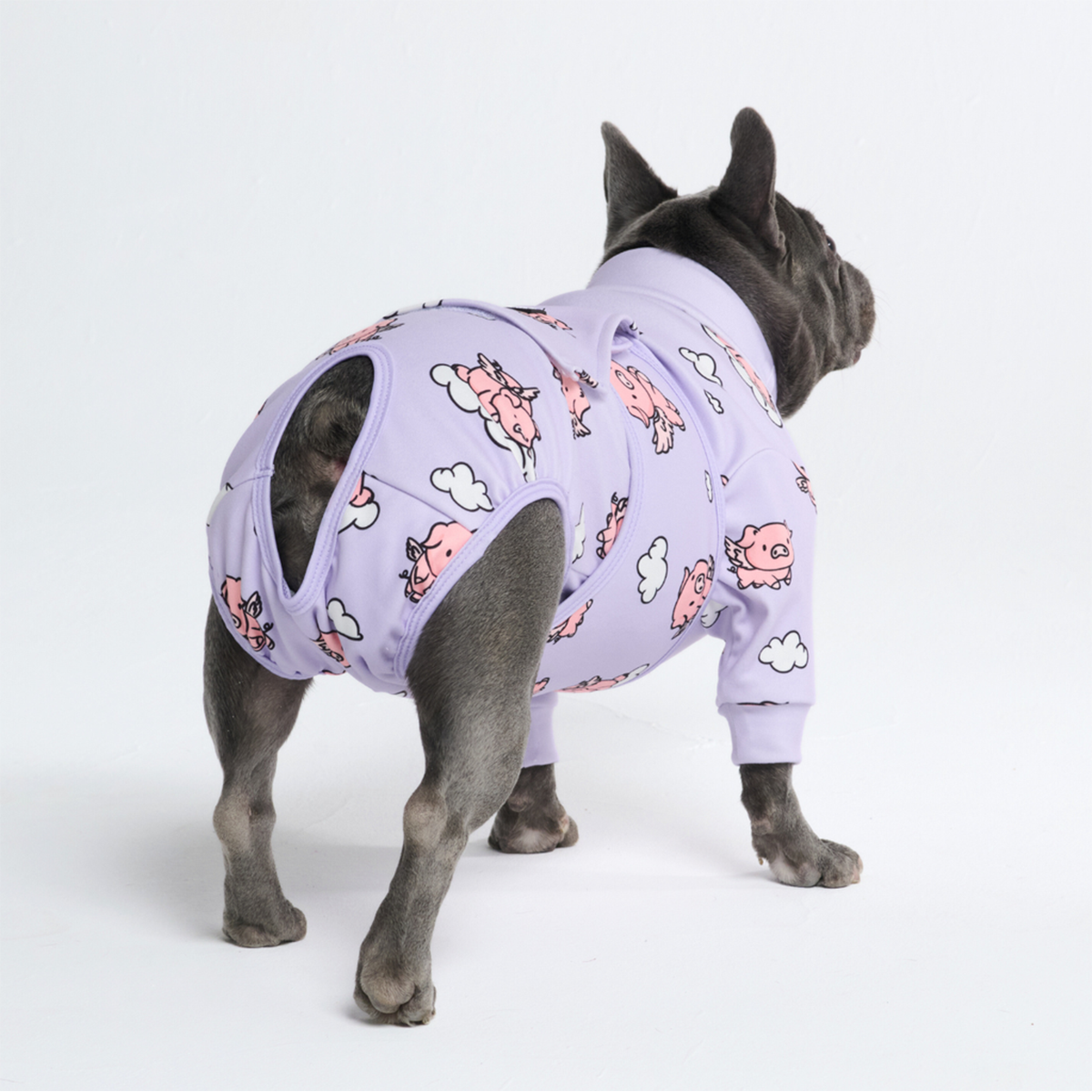 Dog Surgical Suit 2-pack - Image 22