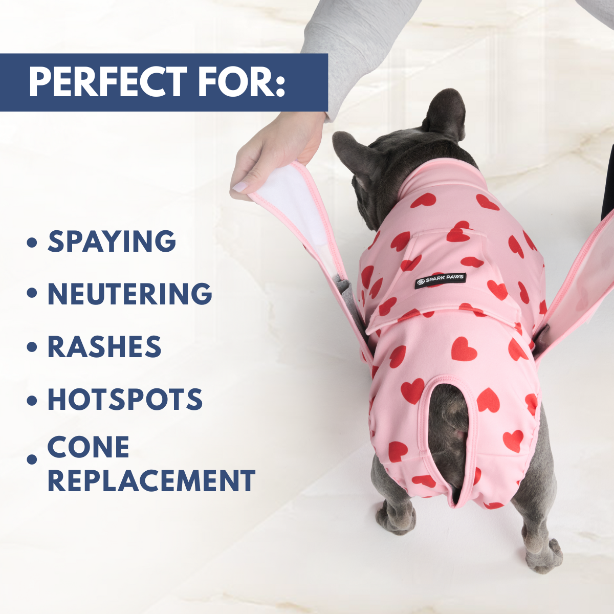Dog Surgical Suit 2-pack - Image 19