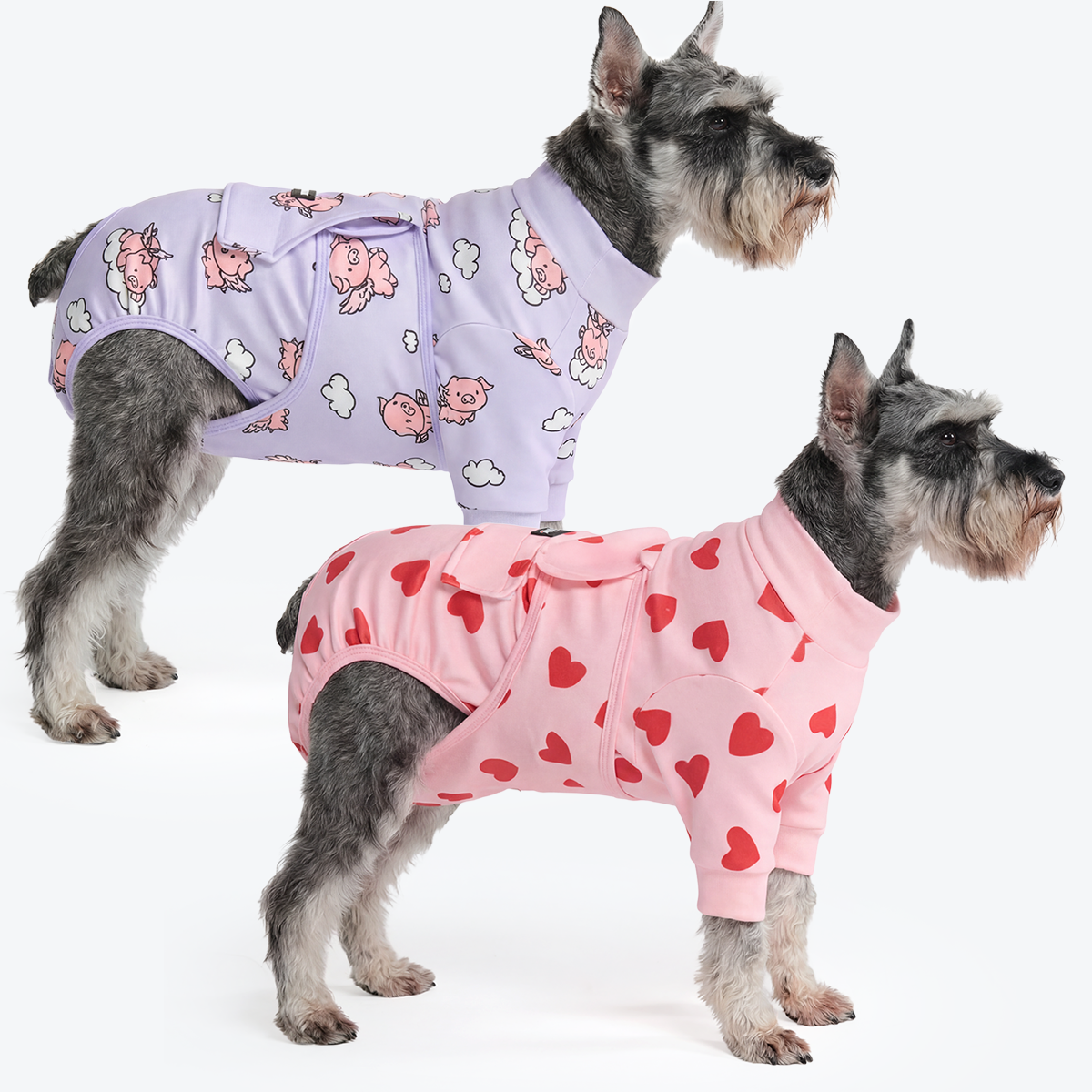 Dog Surgical Suit 2-pack - Image 15