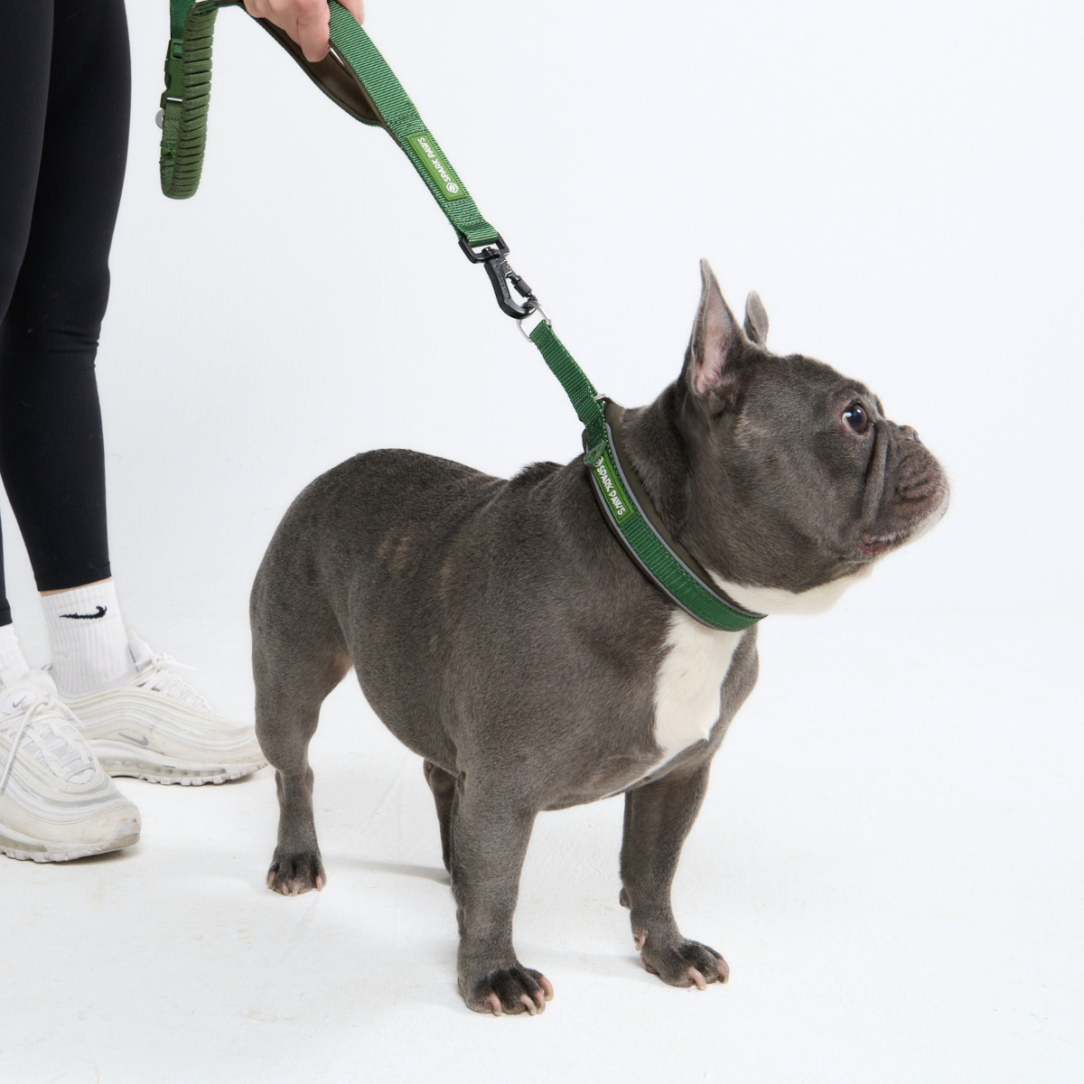 Multipurpose Seatbelt Handsfree Leash & Poop Bag Holder Set - Army Green - Image 8
