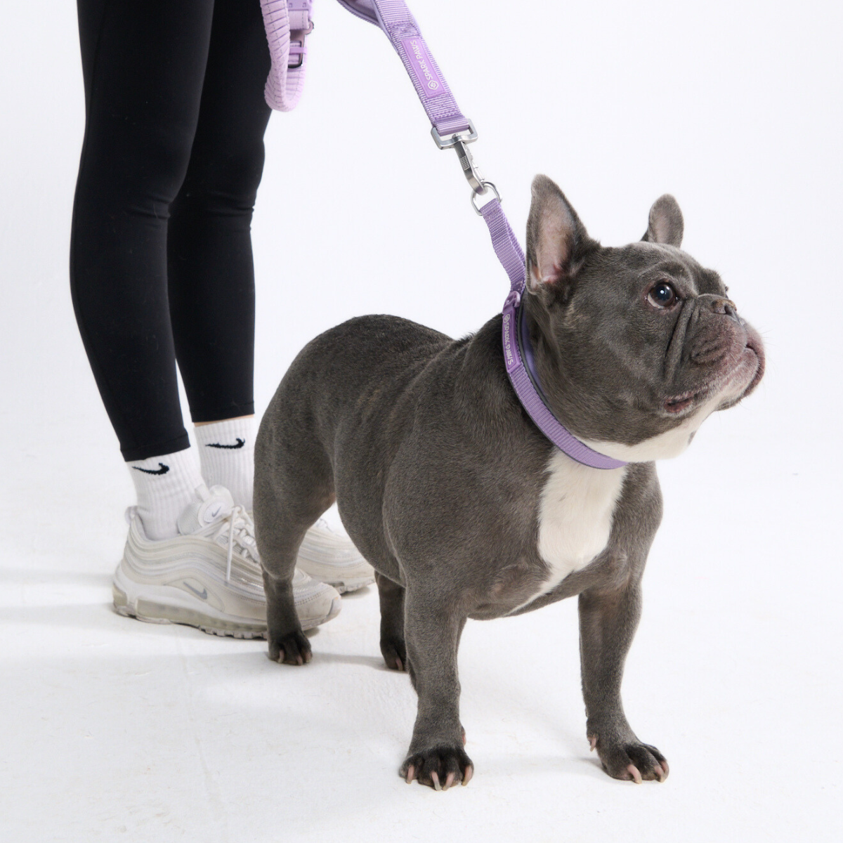 Multipurpose Seatbelt Handsfree Leash & Poop Bag Holder Set - Lilac - Image 8