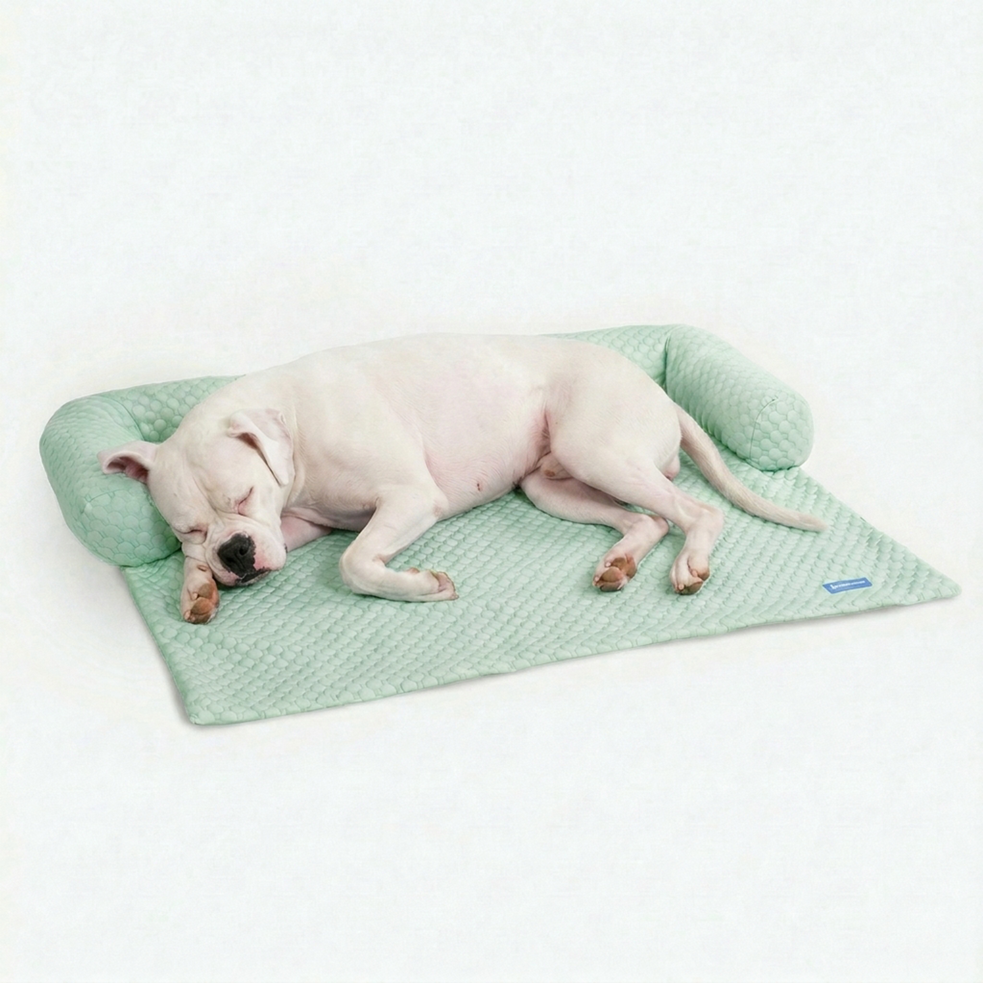 Frostcore™ Cooling Couch Cover Dog Bed - Orb Green - Image 5