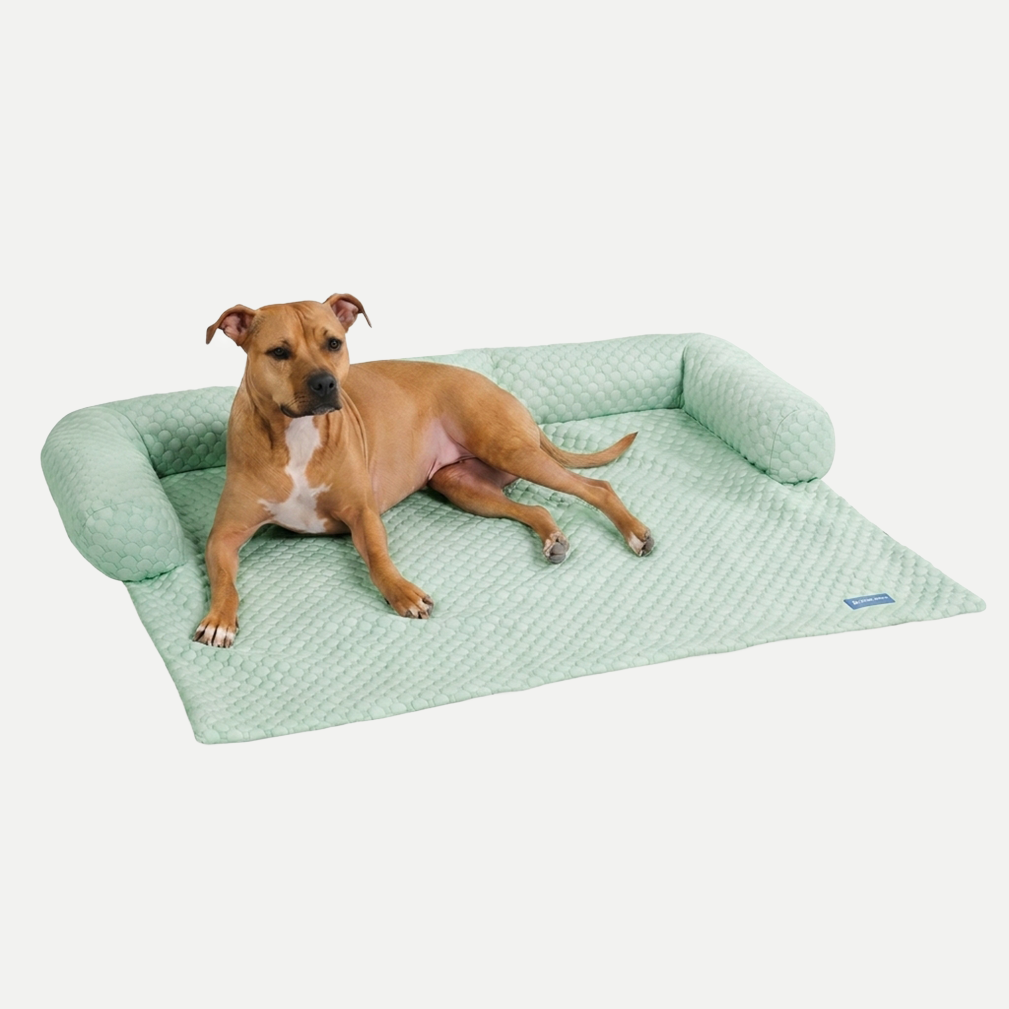 Frostcore™ Cooling Couch Cover Dog Bed - Orb Green - Image 4