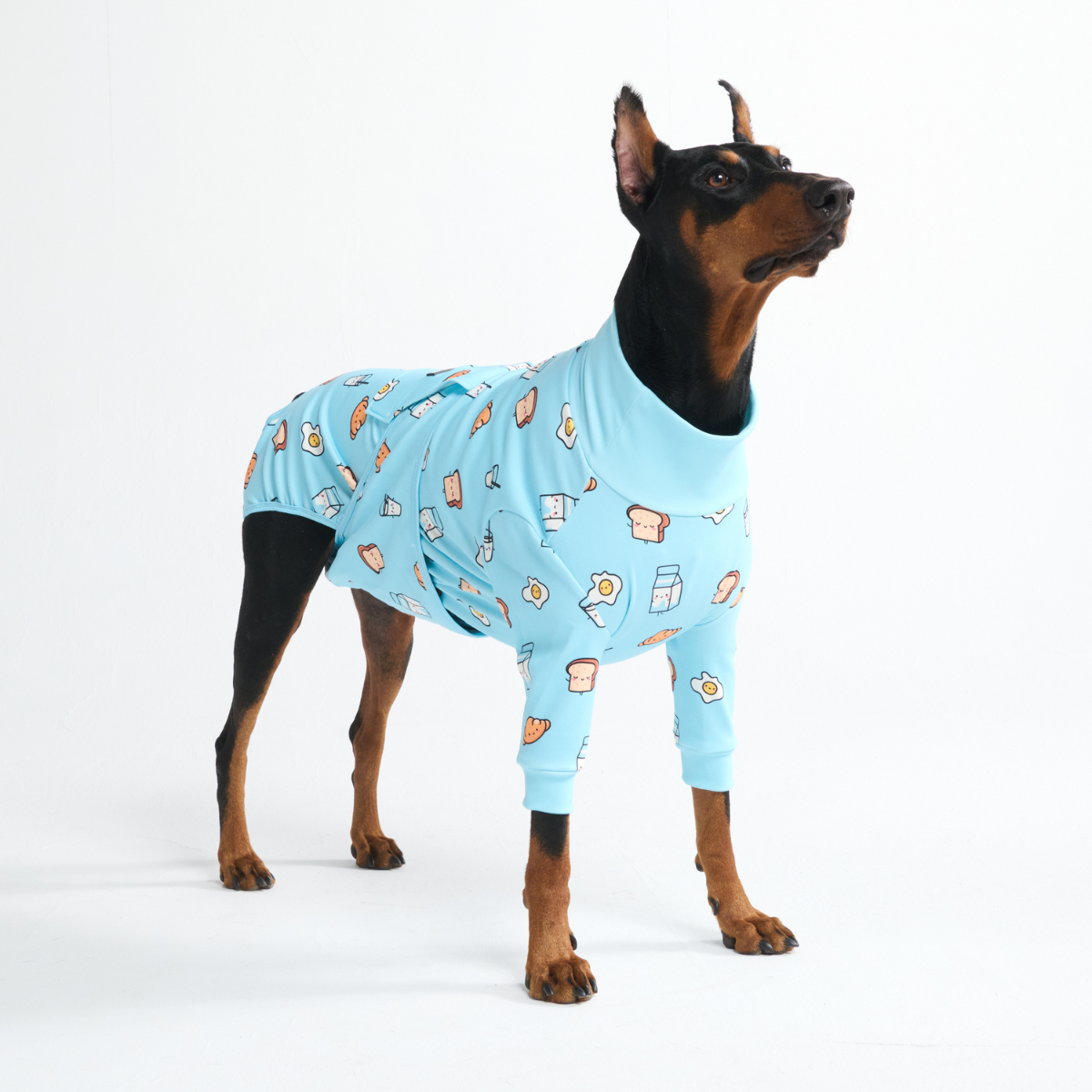 Dog Surgical Suit - Breakfast Blue - Image 11