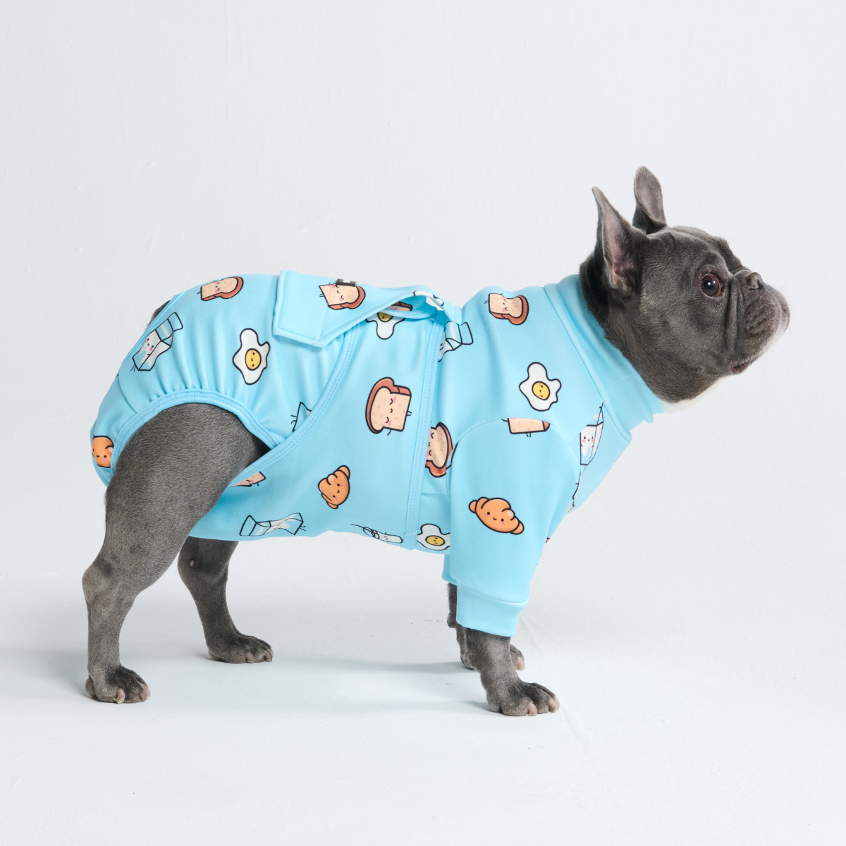Dog Surgical Suit - Breakfast Blue - Image 2