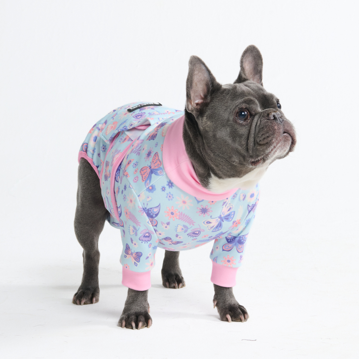Dog Surgical Suit - Butterfly - Image 11