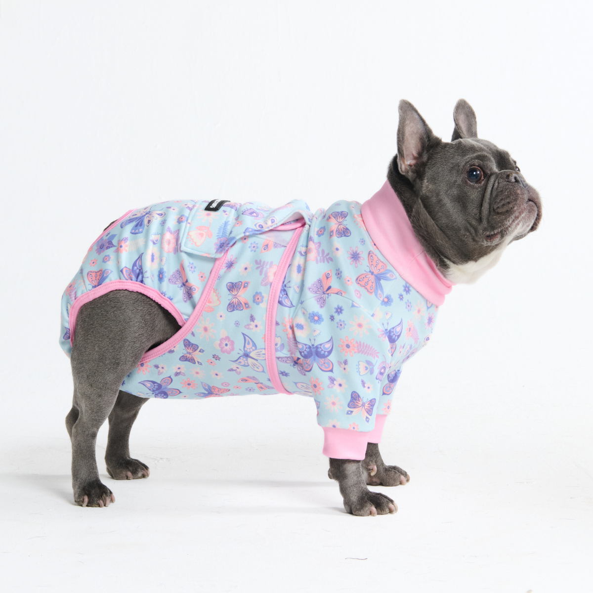 Dog Surgical Suit - Butterfly