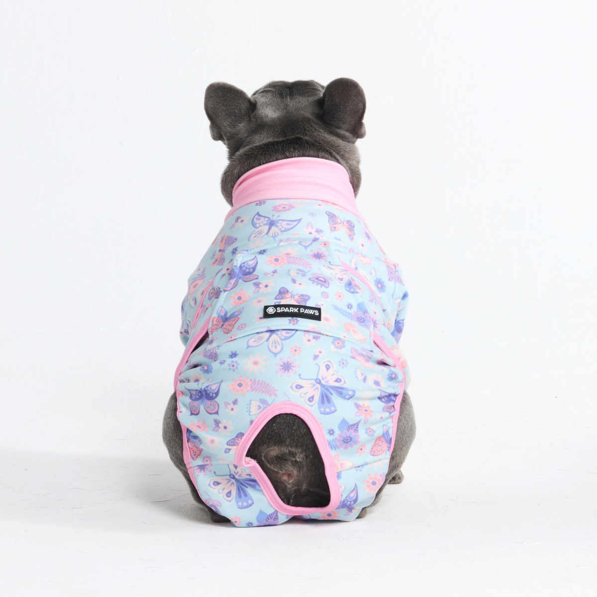 Dog Surgical Suit - Butterfly - Image 12