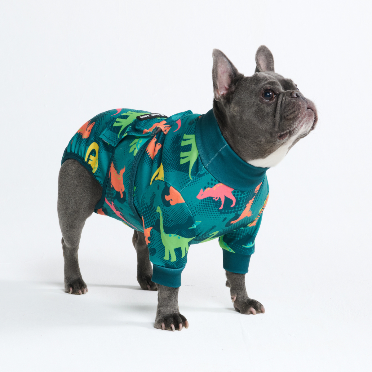 Dog Surgical Suit - Dinosaurs - Image 11