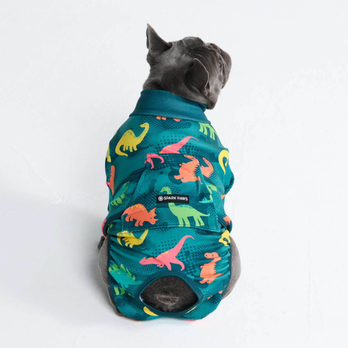 Dog Surgical Suit - Dinosaurs - Image 12