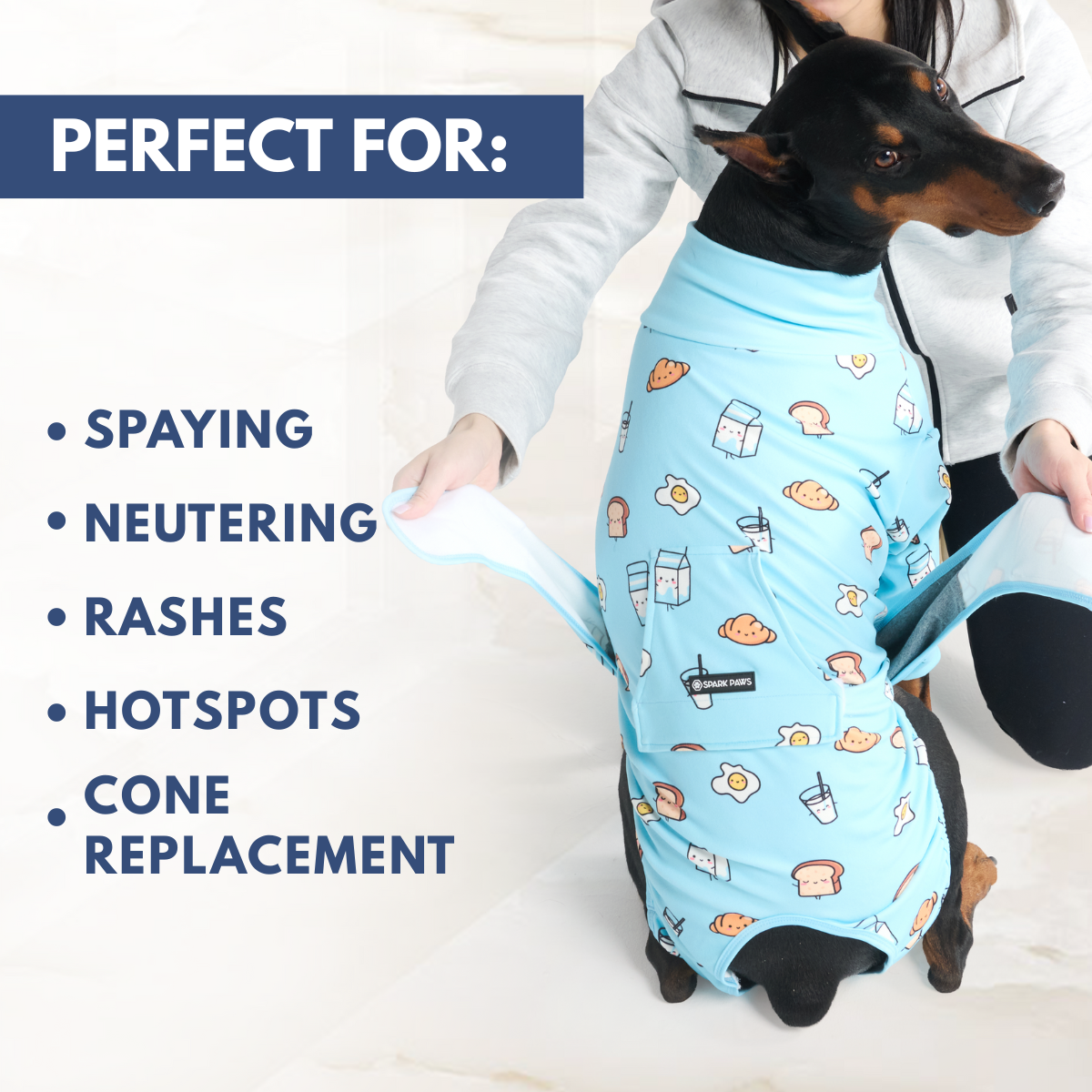 Dog Surgical Suit - Breakfast Blue - Image 7