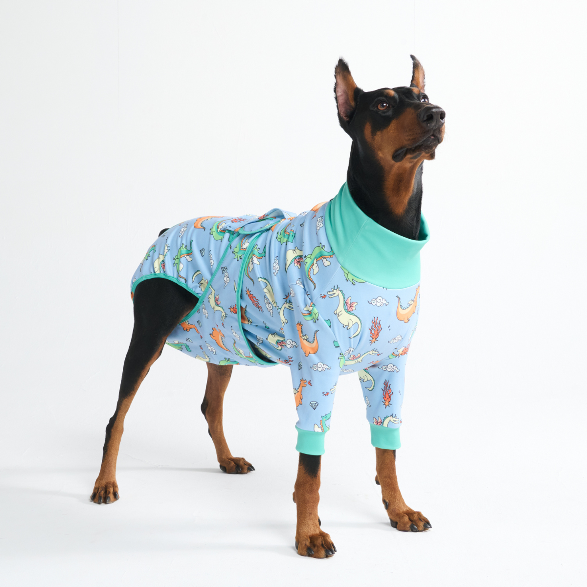 Dog Surgical Suit - Dragons - Image 11