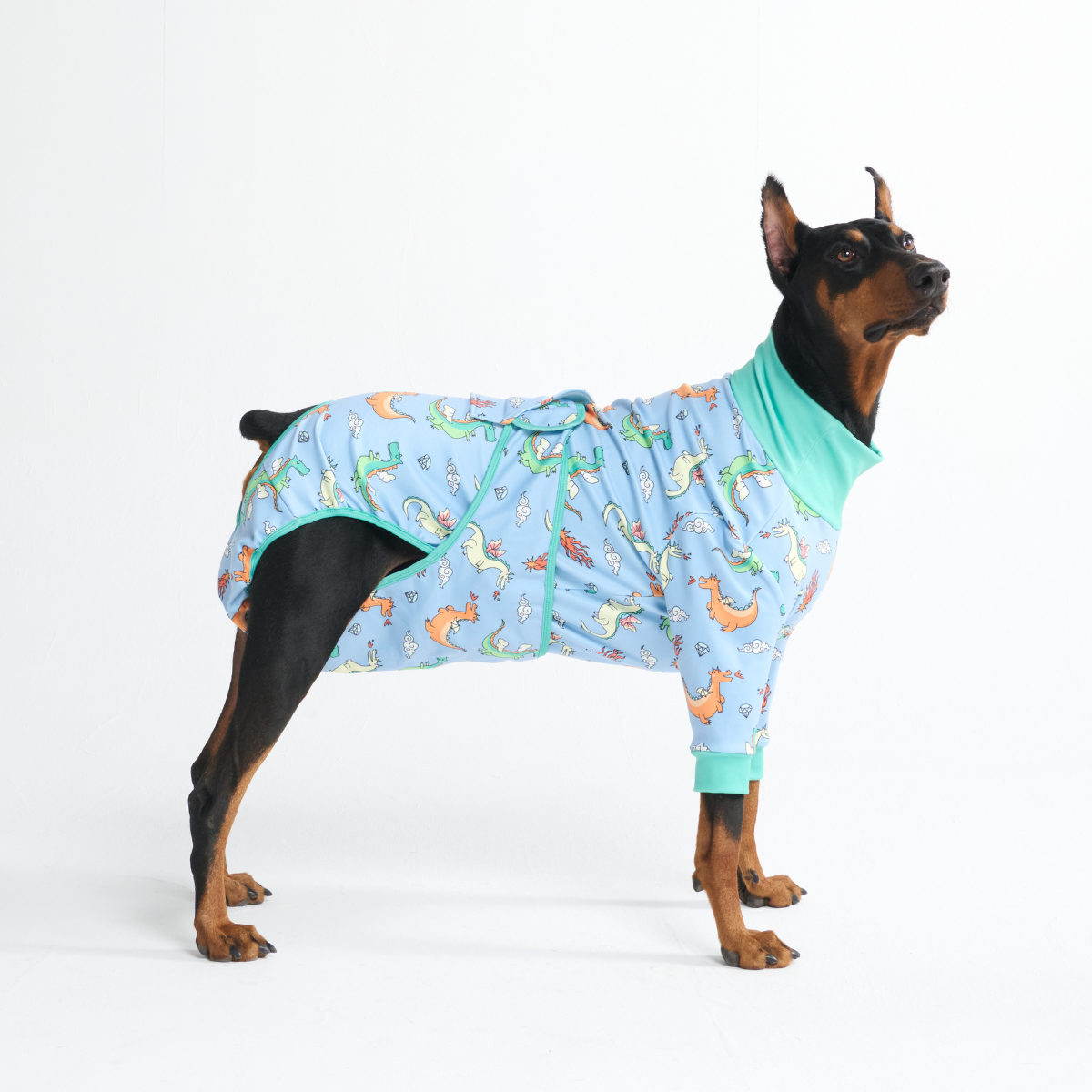 Dog Surgical Suit - Dragons - Image 5