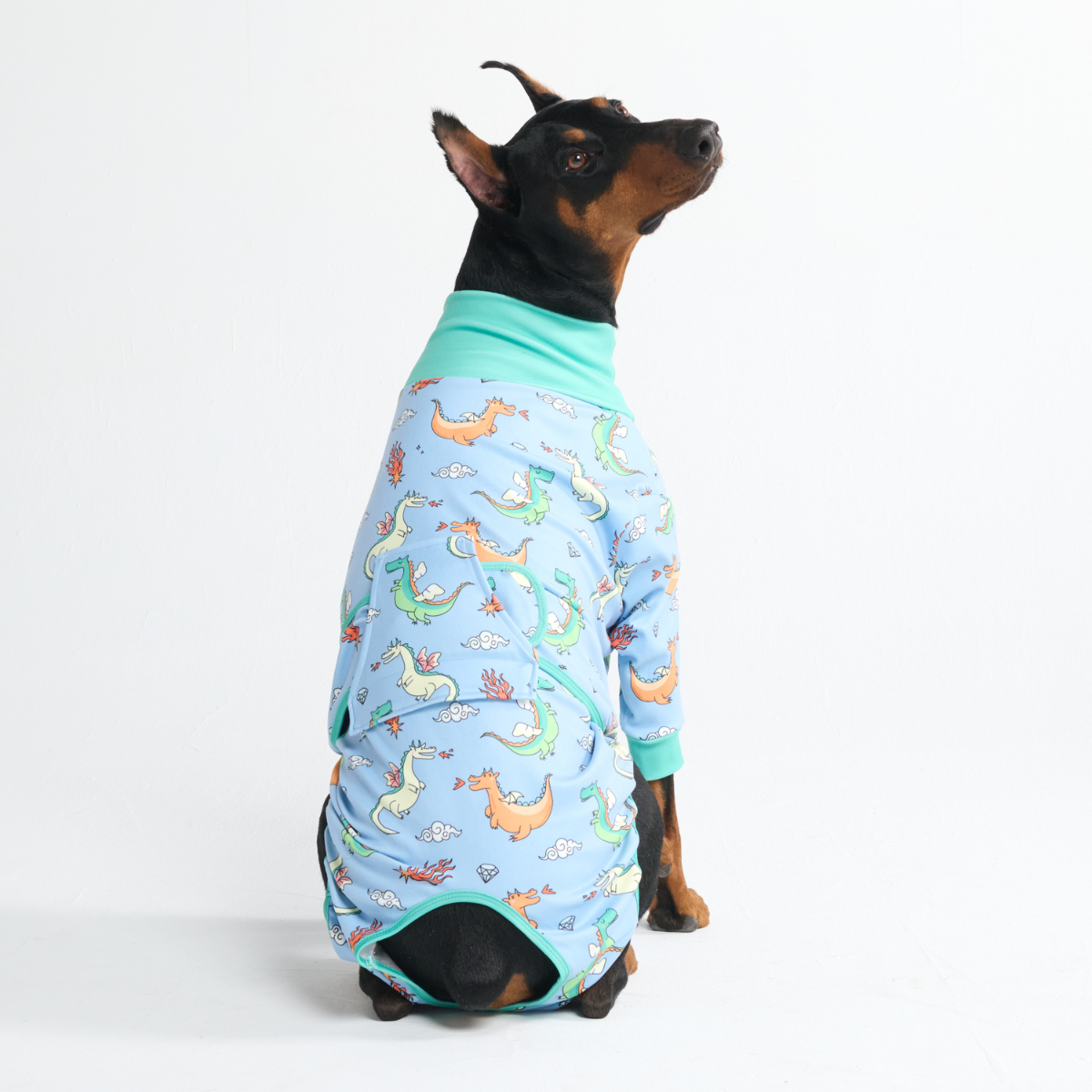 Dog Surgical Suit - Dragons - Image 12