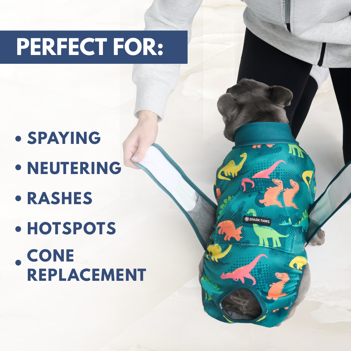 Dog Surgical Suit - Dinosaurs - Image 7