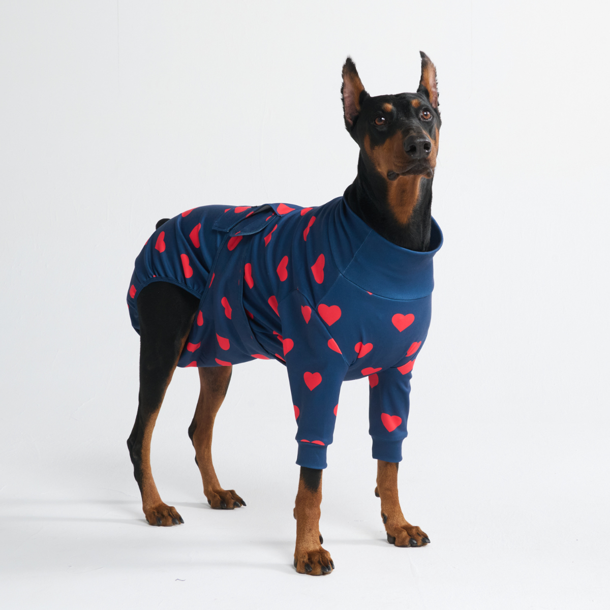 Dog Surgical Suit - Hearts - Image 12