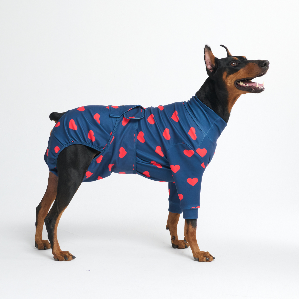 Dog Surgical Suit - Hearts - Image 5