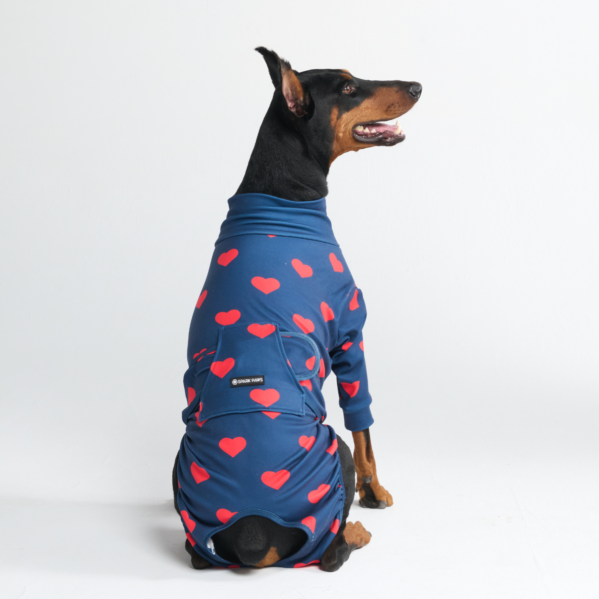 Dog Surgical Suit - Hearts - Image 11