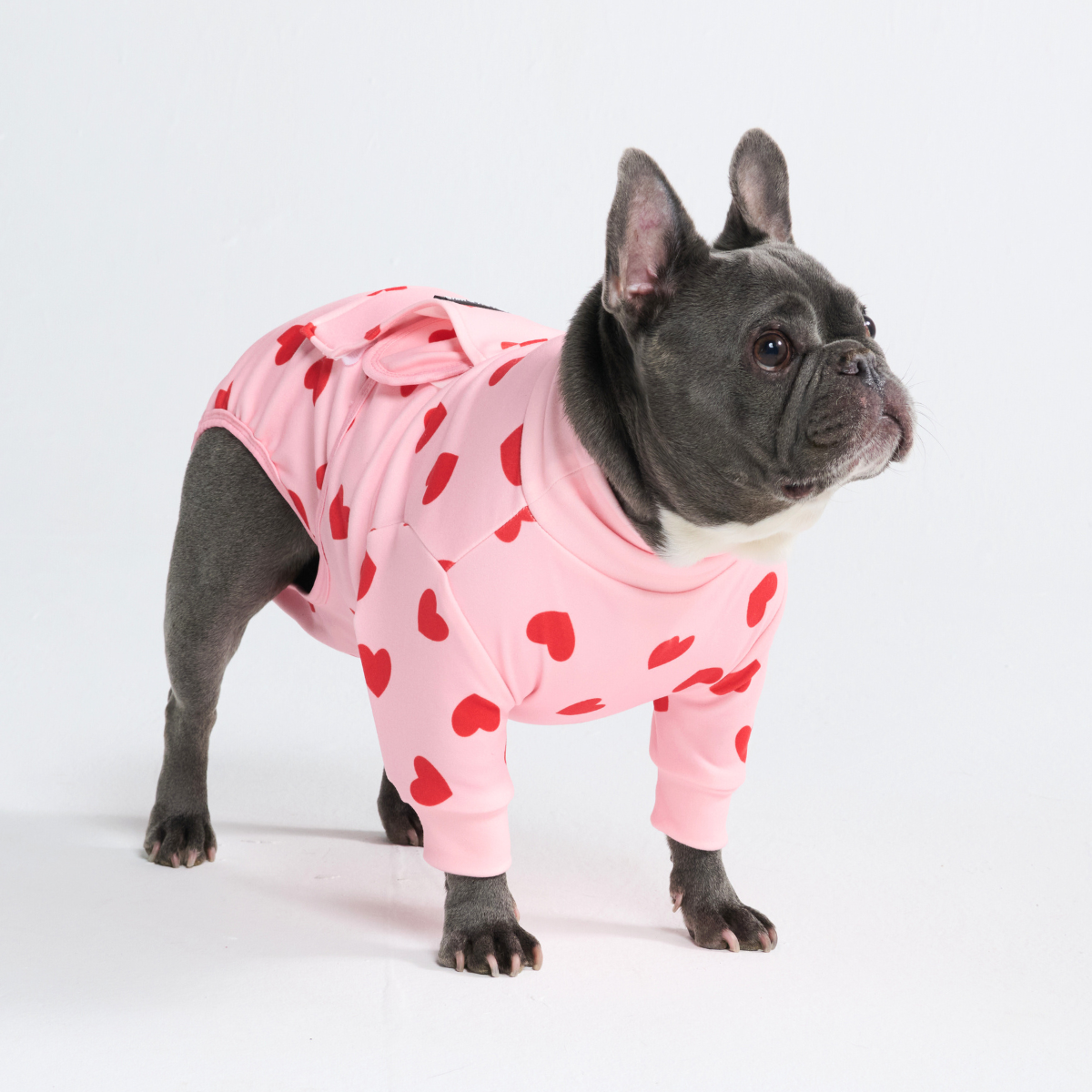 Dog Surgical Suit - Pink Hearts - Image 11