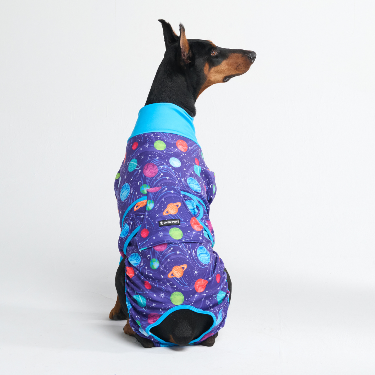 Dog Surgical Suit - Planets - Image 11