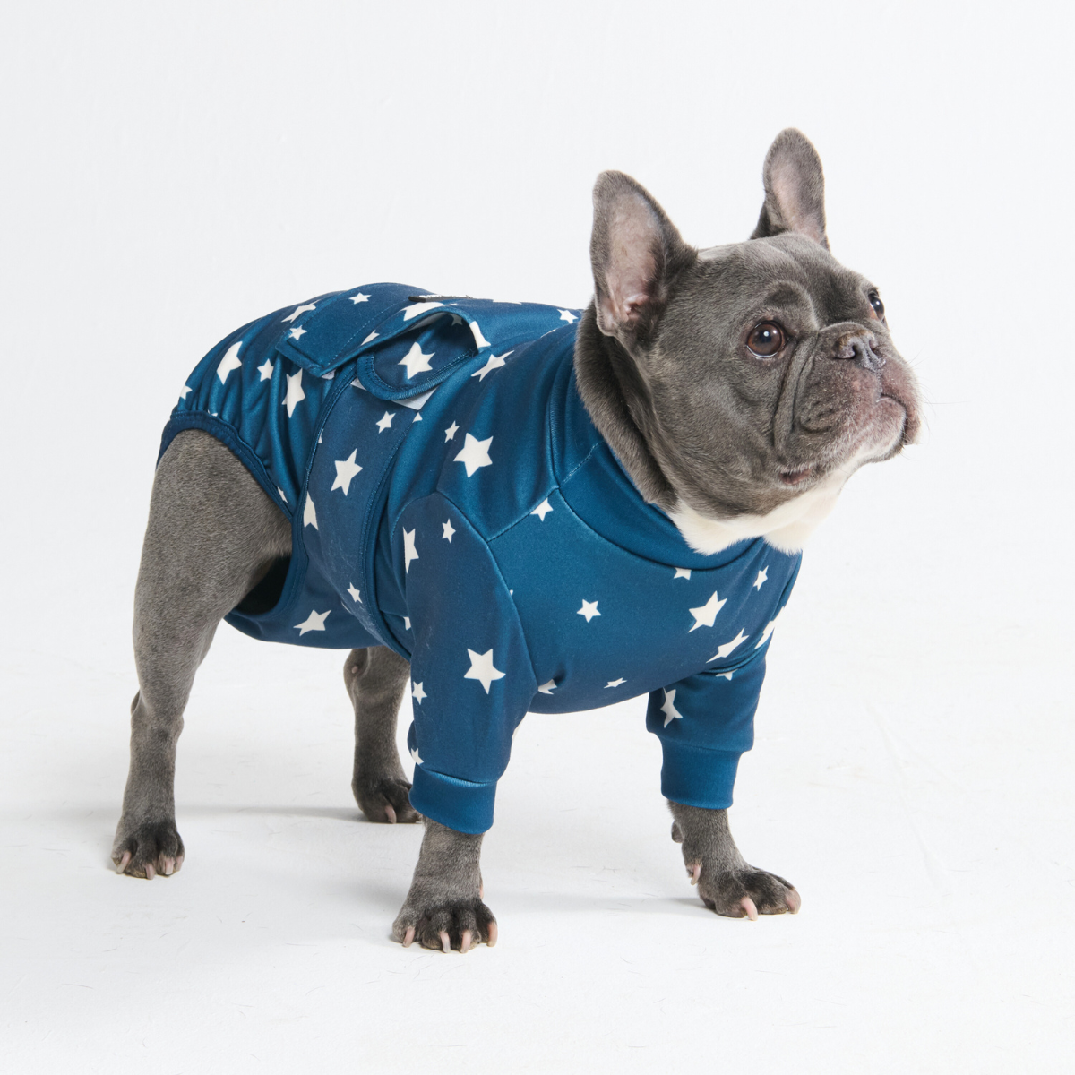 Dog Surgical Suit - Stars - Image 10