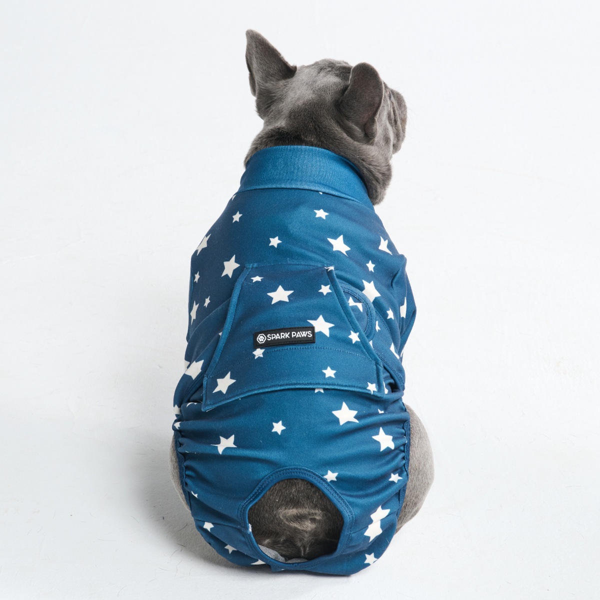 Dog Surgical Suit - Stars - Image 12