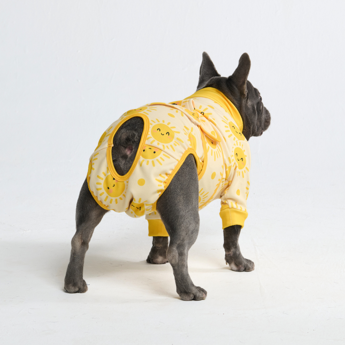 Dog Surgical Suit - Sunshine - Image 10