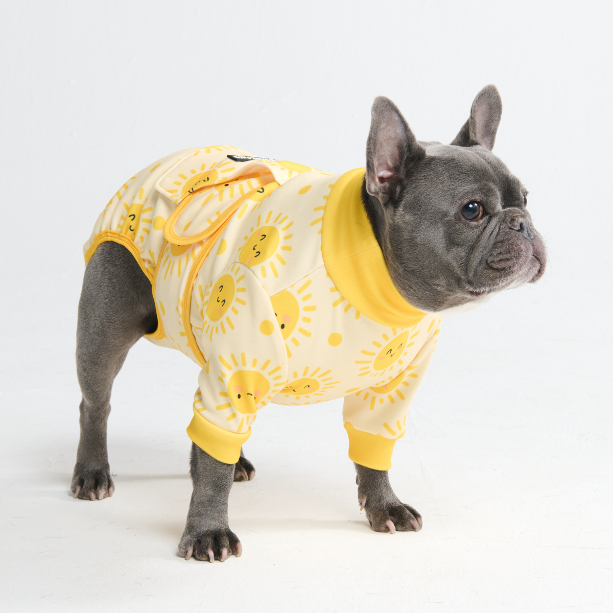Dog Surgical Suit - Sunshine - Image 11