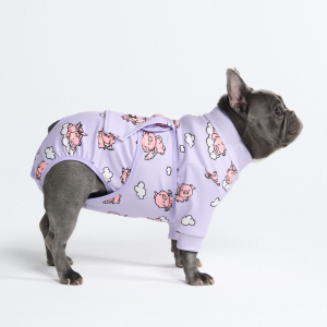 Dog Surgical Suit - When Pigs Fly