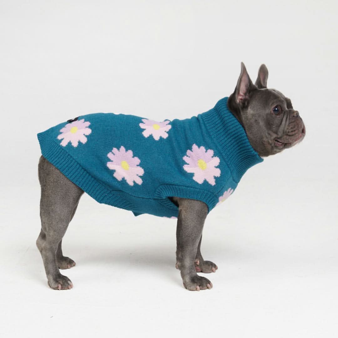 Flower Knit Dog Sweater - Image 8